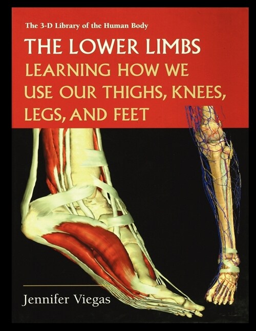 The Lower Limbs: Learning How We Use Our Thighs, Knees, Legs, and Feet (Paperback)