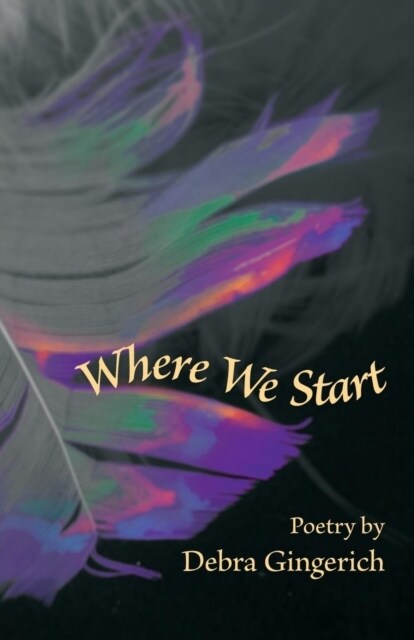 Where We Start (Paperback)