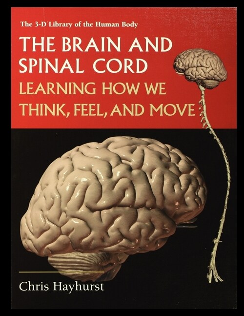 The Brain and Spinal Cord: Learning How We Think, Feel and Move (Paperback)