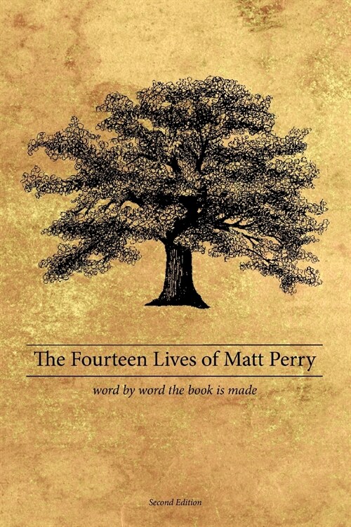 The Fourteen Lives of Matt Perry (Paperback)