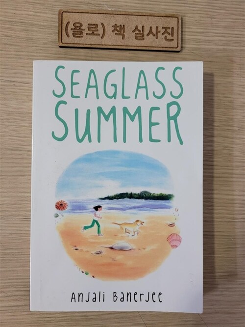 [중고] Seaglass Summer (Paperback)