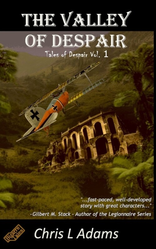 The Valley of Despair (Paperback)