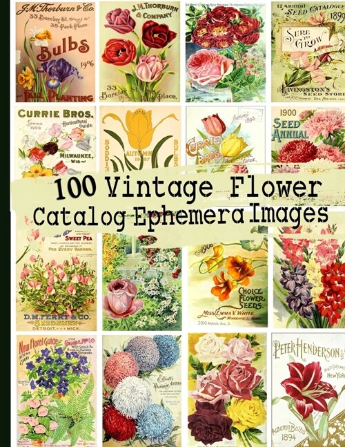 100 Vintage Flower Catalog Ephemera Images (Paperback)