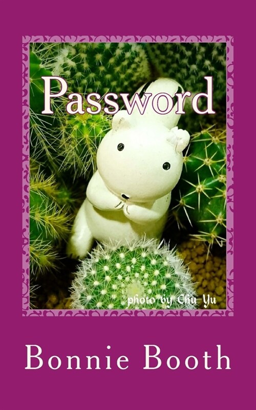 Password: I Can Remember (Paperback)