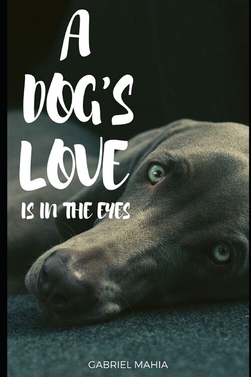 A Dogs Love Is In The Eyes (Paperback)