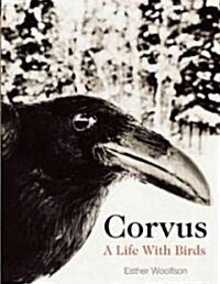 Corvus: A Life with Birds (Hardcover)