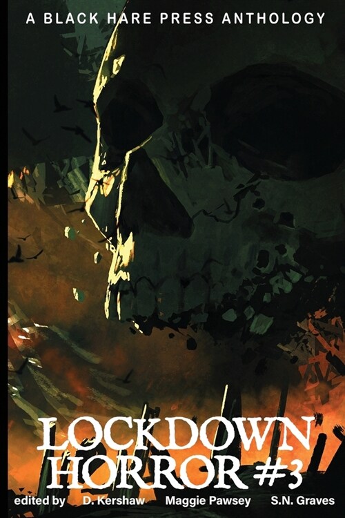 Lockdown Horror #3 (Paperback)