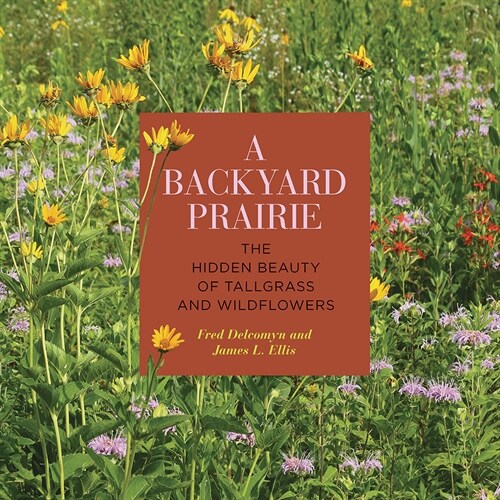 A Backyard Prairie: The Hidden Beauty of Tallgrass and Wildflowers (Paperback)