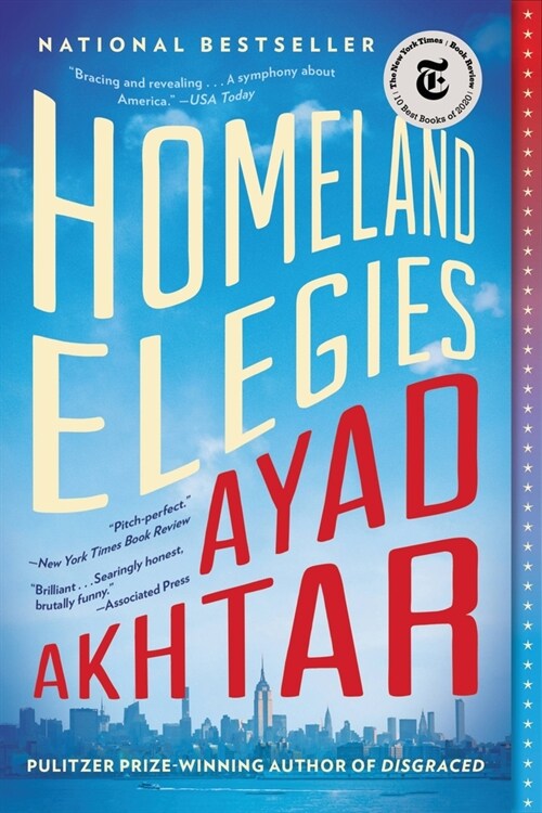 Homeland Elegies (Paperback)