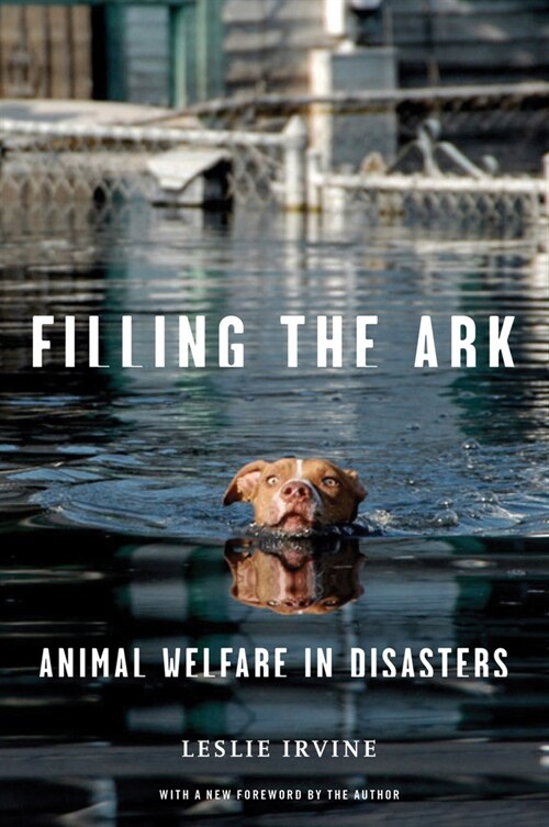 Filling the Ark: Animal Welfare in Disasters (Paperback)