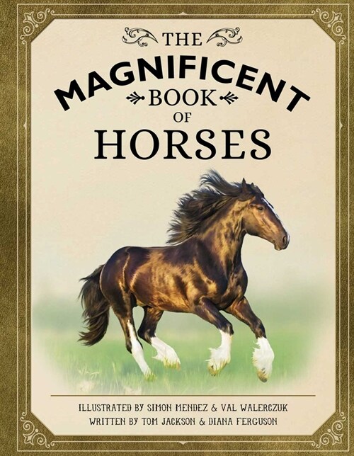 The Magnificent Book of Horses (Hardcover)