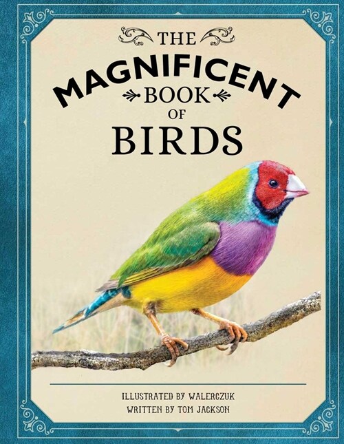The Magnificent Book of Birds (Hardcover)