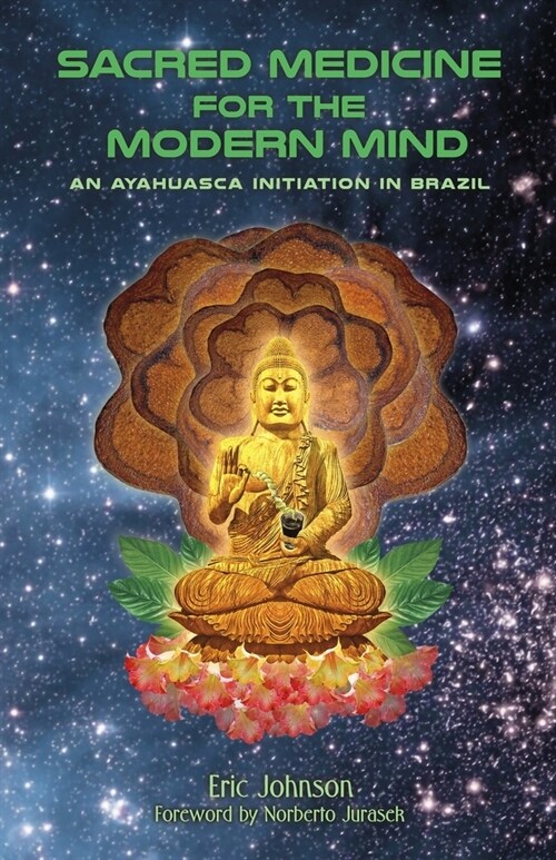 Sacred Medicine for the Modern Mind: An Ayahuasca Initiation in Brazil (Paperback)