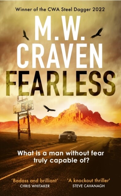 Fearless (Paperback)