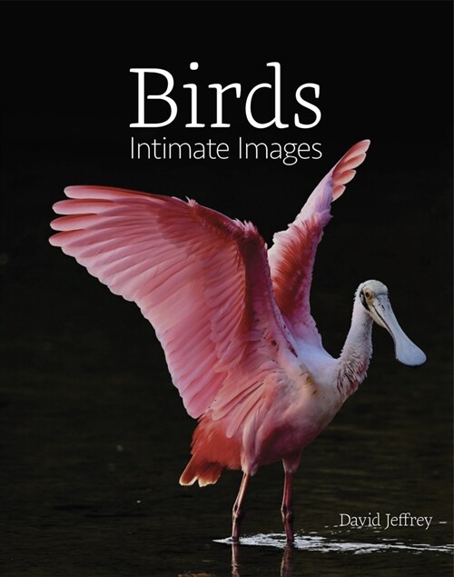 Birds: Intimate Images (Hardcover)