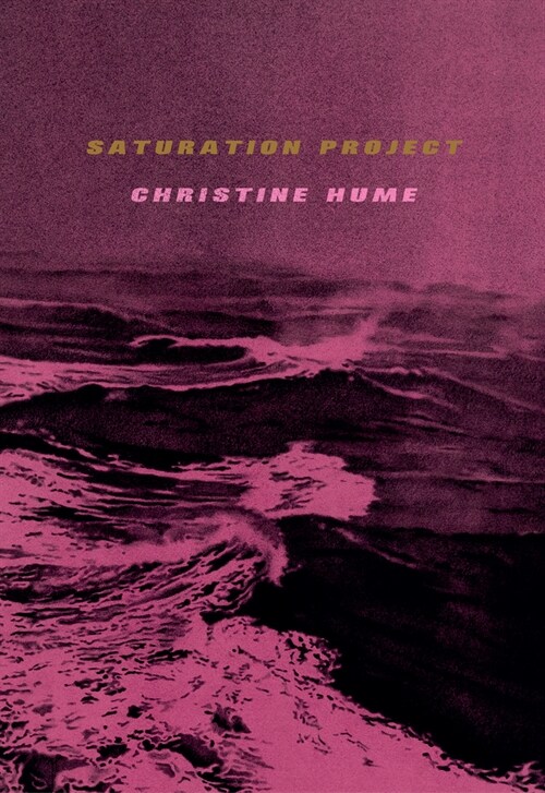 Saturation Project (Hardcover)