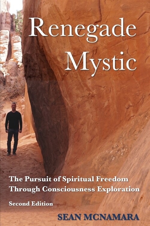 Renegade Mystic: The Pursuit of Spiritual Freedom Through Consciousness Exploration (Paperback, 2)