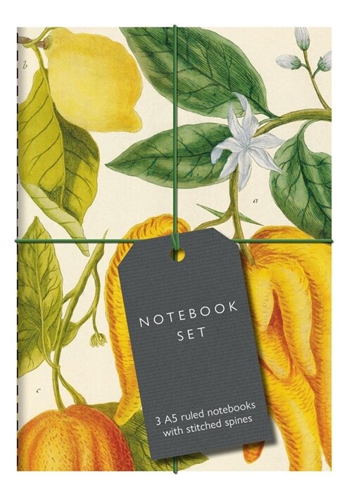 Botanical Art Notebook Set : 3 A5 ruled notebooks with stitched spines (Notebook / Blank book)