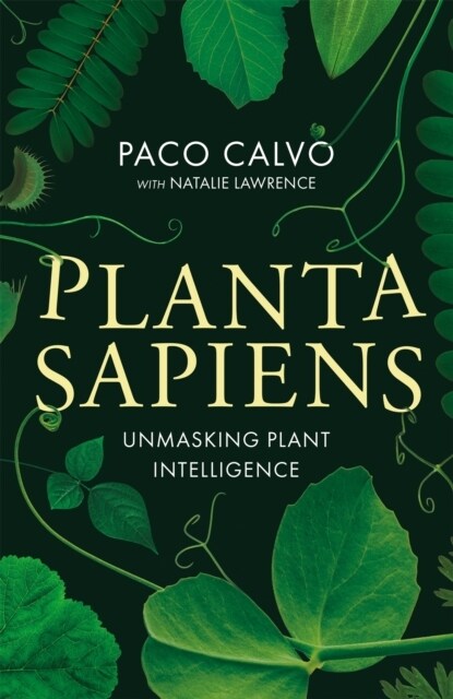 Planta Sapiens : Unmasking Plant Intelligence (Hardcover)