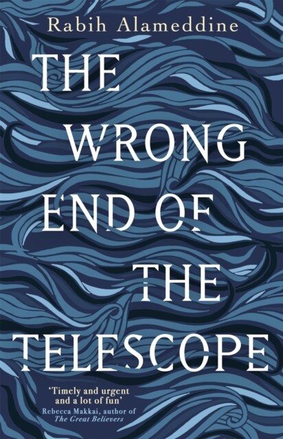 The Wrong End of the Telescope (Hardcover)