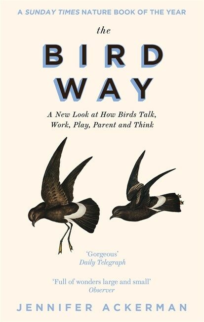 The Bird Way : A New Look at How Birds Talk, Work, Play, Parent, and Think (Paperback)