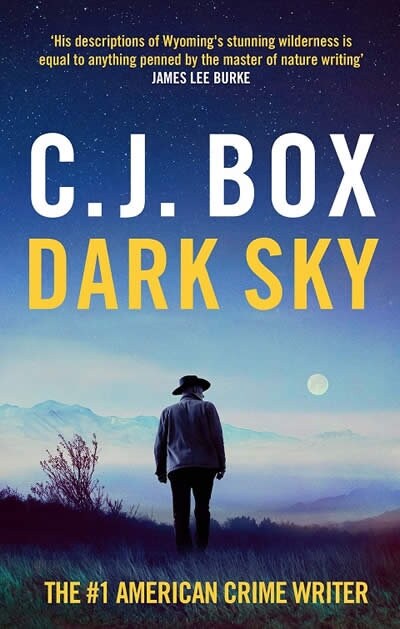 Dark Sky (Paperback)