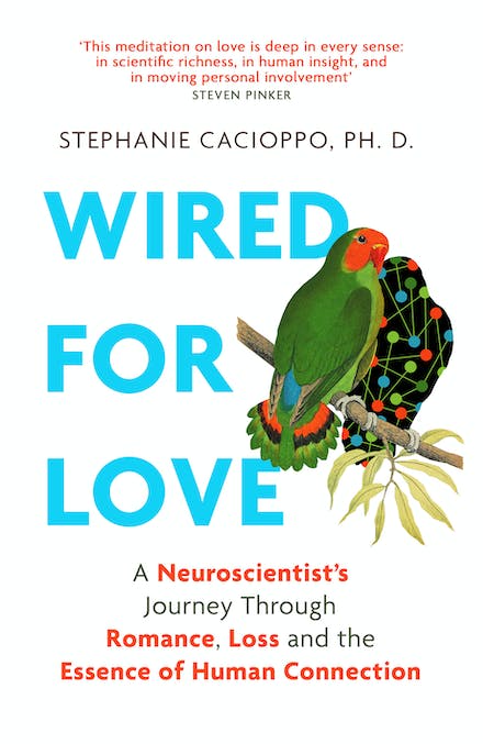 Wired For Love : A Neuroscientists Journey Through Romance, Loss and the Essence of Human Connection (Paperback)