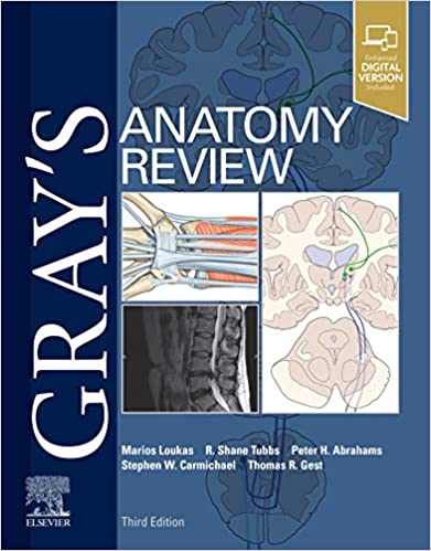 Grays Anatomy Review (Paperback, 3)
