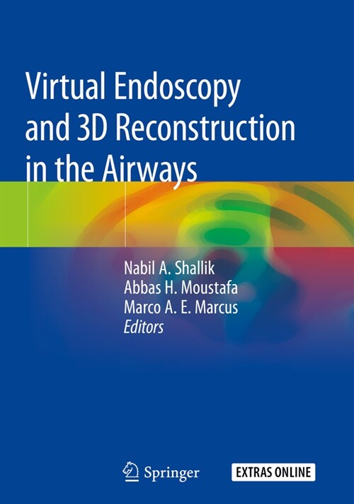 Virtual Endoscopy and 3D Reconstruction in the Airways (Paperback)