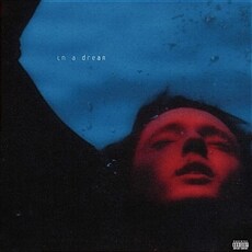 [수입] Troye Sivan - In A Dream (EP) [180g BLUE MIST LP]