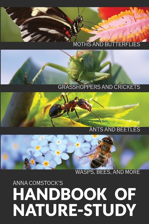 The Handbook Of Nature Study in Color - Insects (Paperback)