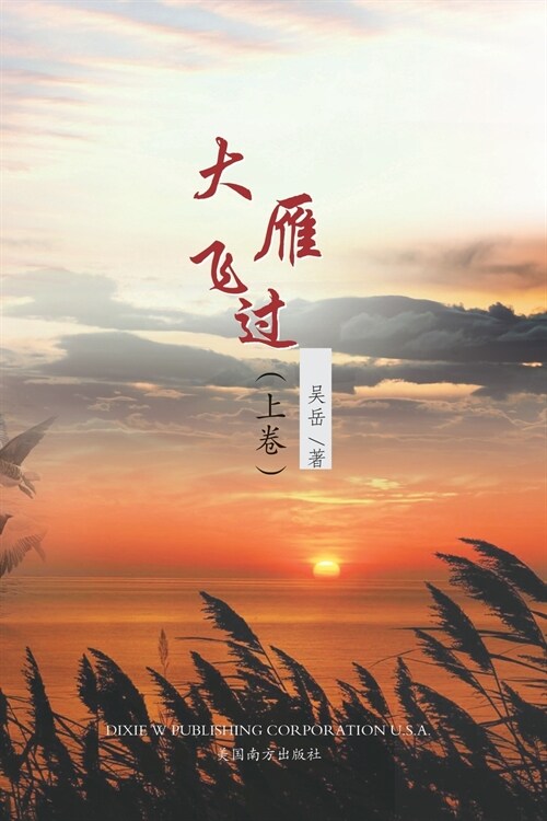 大雁飞过 （上卷） (Paperback)