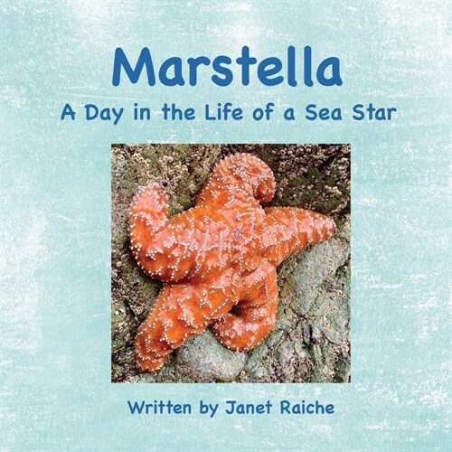 Marstella: A Day in the Life of a Sea Star (Paperback)