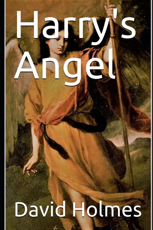 Harrys Angel (Paperback)
