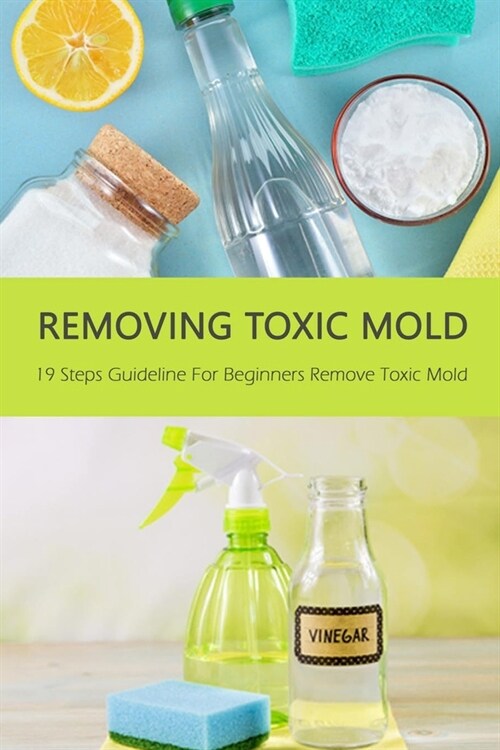 Removing Toxic Mold: 19 Steps Guideline For Beginners Remove Toxic Mold: Gift Ideas for Holiday (Paperback)