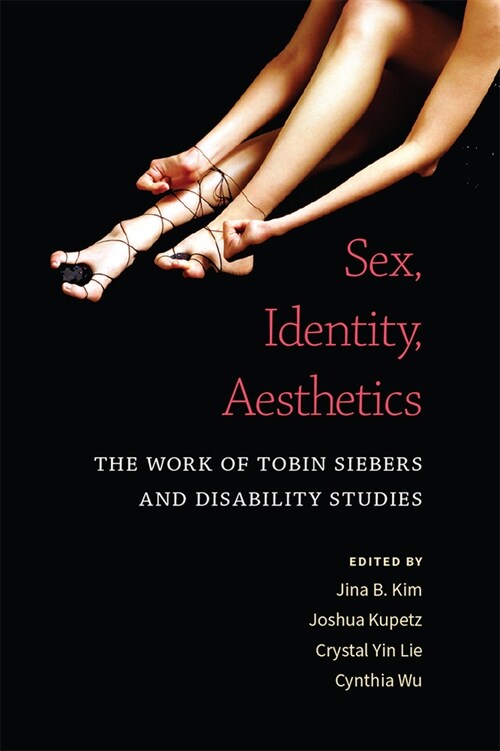 Sex, Identity, Aesthetics: The Work of Tobin Siebers and Disability Studies (Paperback)