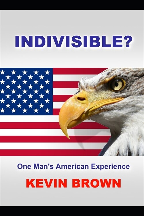 InDivisible: One Mans American Experience (Paperback)