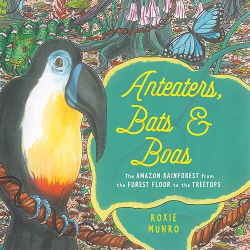 Anteaters, Bats & Boas: The Amazon Rainforest from the Forest Floor to the Treetops (Hardcover)