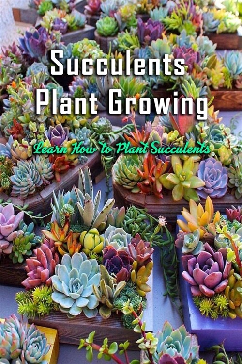 Succulents Plant Growing: Learn How to Plant Succulents: Gift Ideas for Holiday (Paperback)