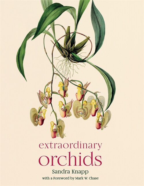 Extraordinary Orchids (Hardcover)