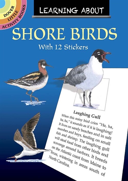 Learning about Shorebirds (Paperback)