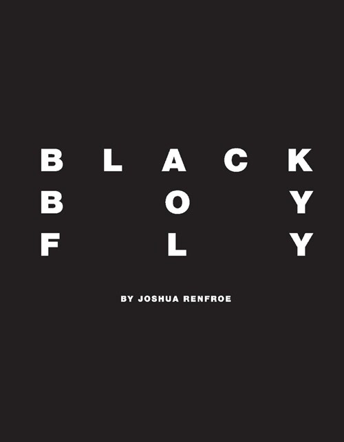 Black Boy Fly (Hardcover, 2)