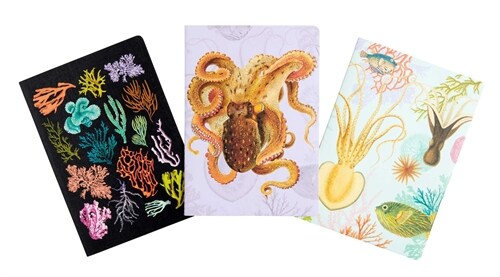 Art of Nature: Under the Sea Sewn Notebook Collection (Set of 3): (Cute Stationery Gift, Gift for Girls, Notebooks) (Paperback)