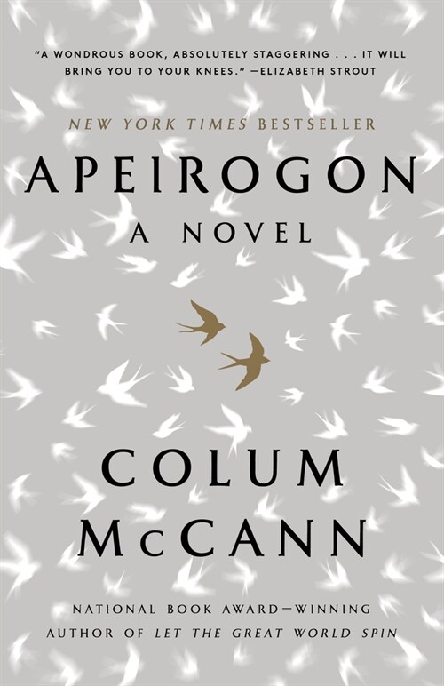 Apeirogon: A Novel (Paperback)