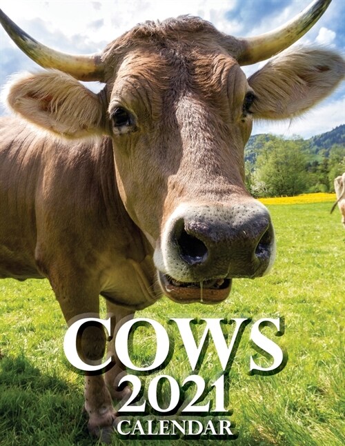 Cows 2021 Calendar (Paperback)