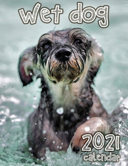 Wet Dog 2021 Calendar (Paperback)