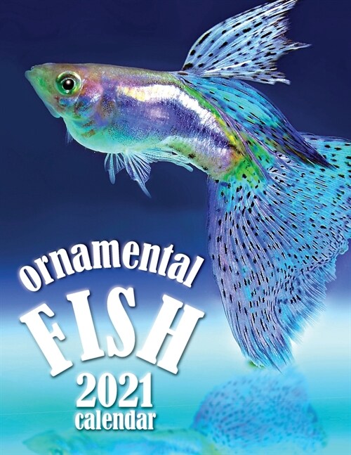 Ornamental Fish 2021 Calendar (Paperback)