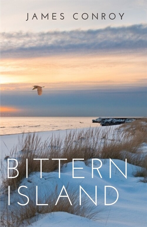 Bittern Island (Paperback)