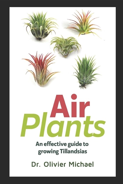 Air Plants: An effective guide to growing Tillandsias (Paperback)