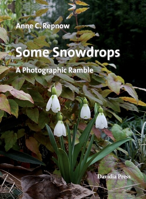 Some Snowdrops - A Photographic Ramble (Paperback)